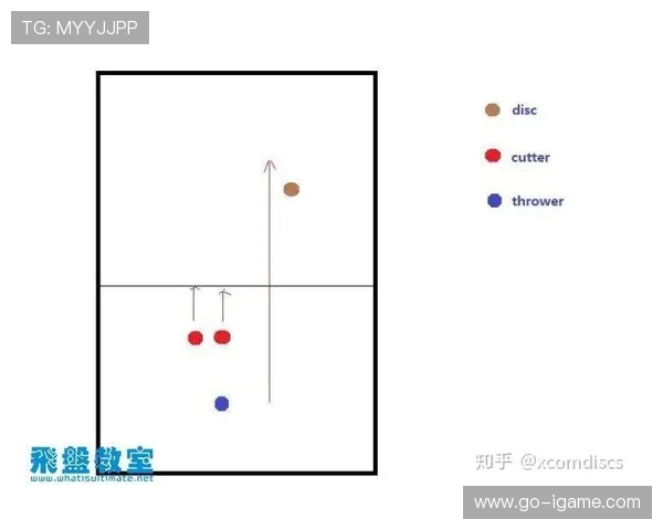 飞盘战术解析上海飞盘队如何构建高效区域防守体系